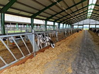 Montáže a servis stájových technologií - hrazení, přiháněčů, branek